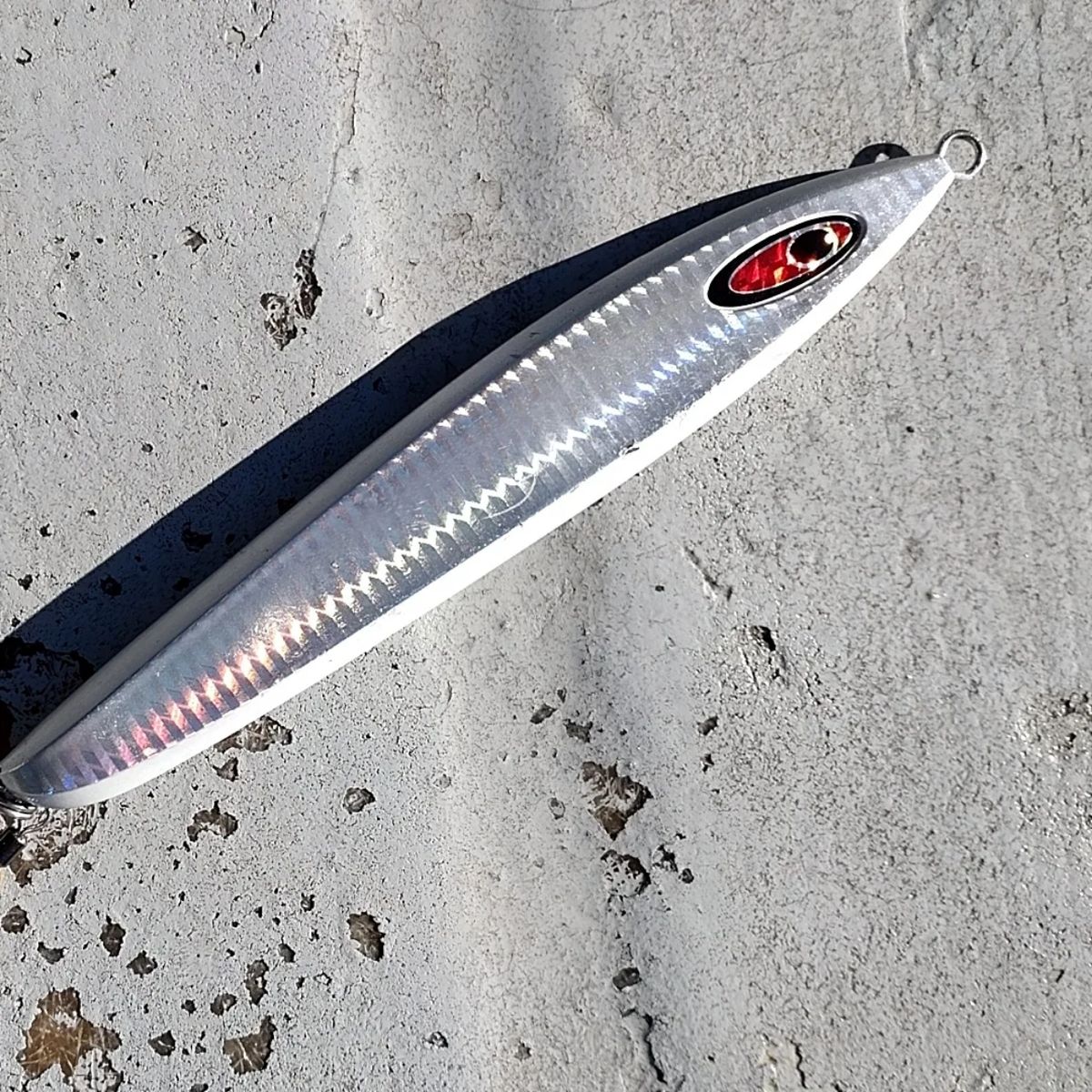 マティさんの釣果 3枚目の画像