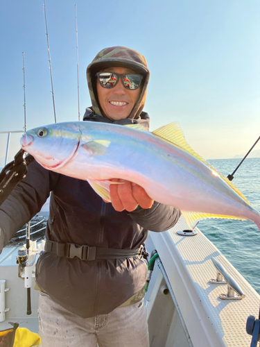 イナダの釣果