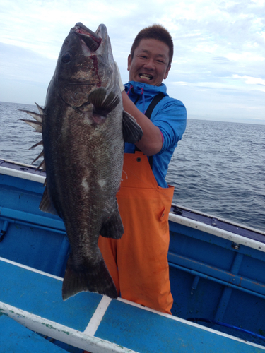 イシナギの釣果