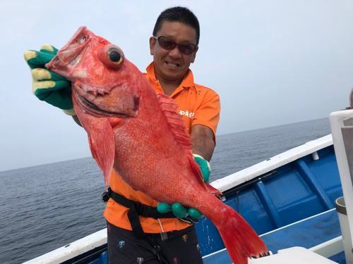 ベニアコウの釣果