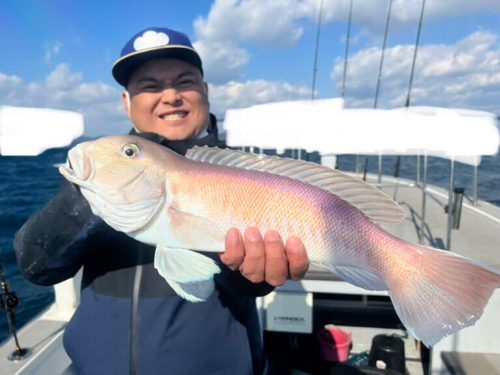 シロアマダイの釣果