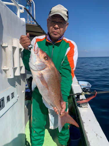 マダイの釣果