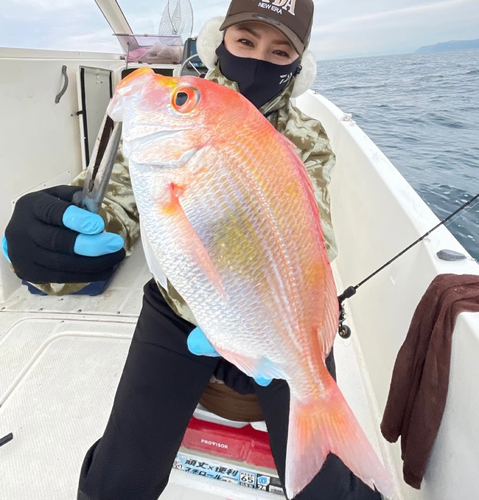 レンコダイの釣果