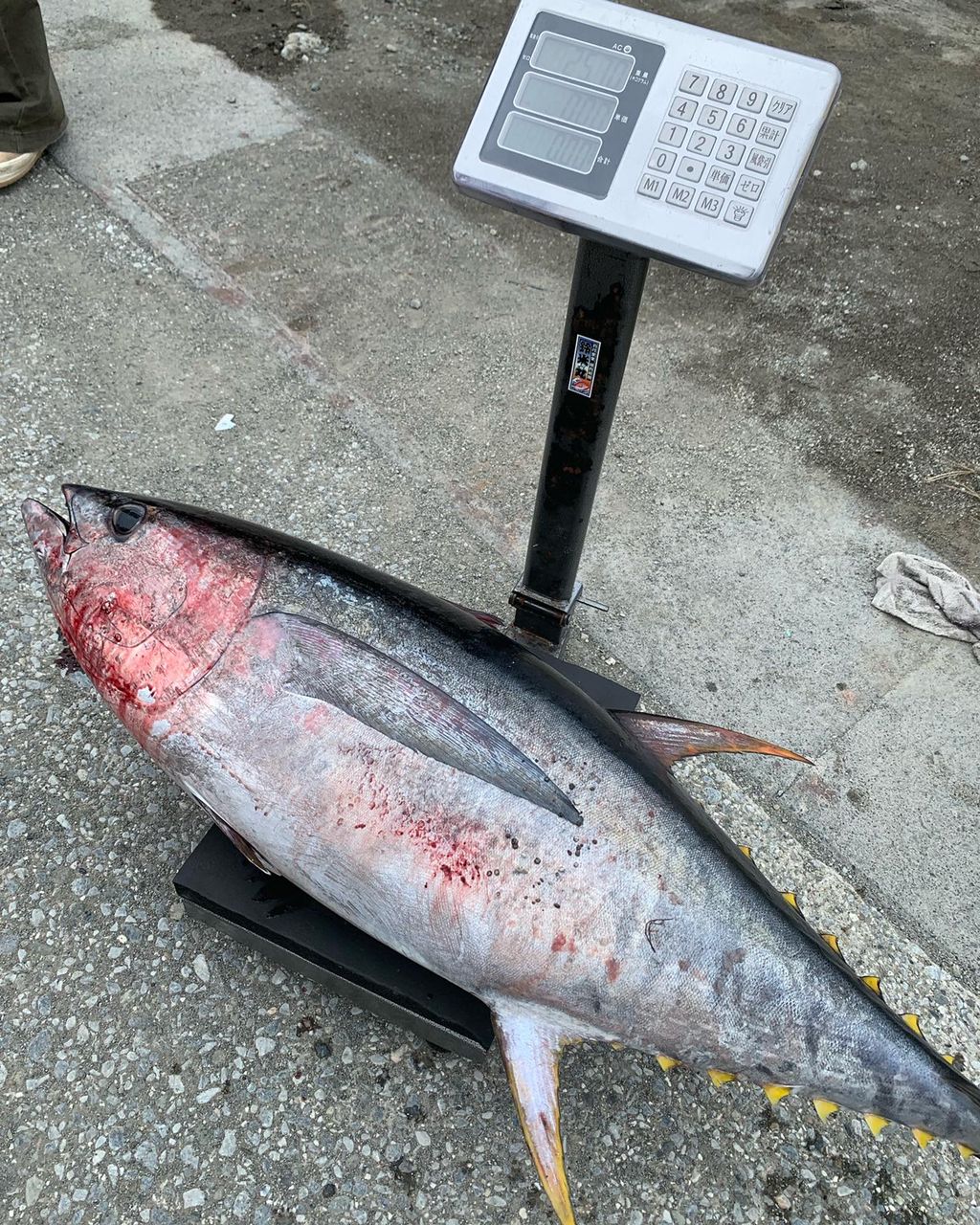 まこちん7108さんの釣果 1枚目の画像