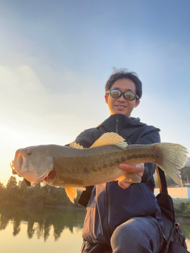 ラージマウスバスの釣果