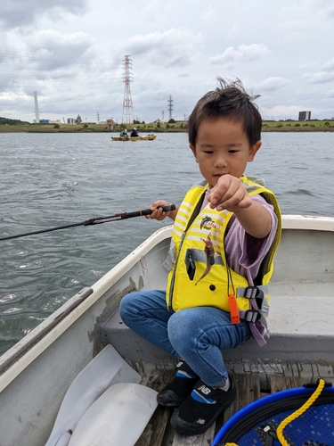 マハゼの釣果