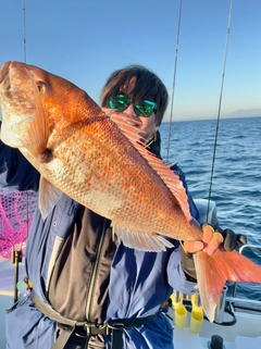 マダイの釣果