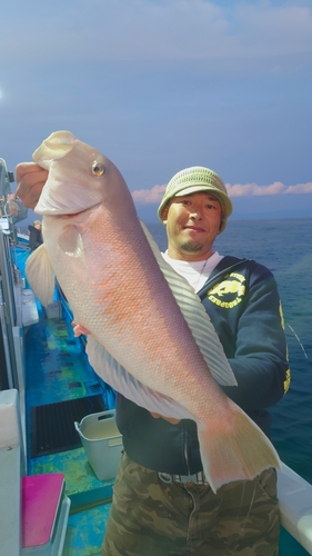 シロアマダイの釣果