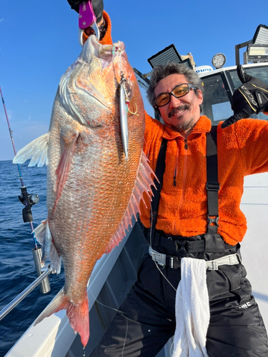 マダイの釣果