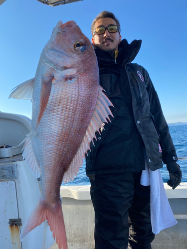 マダイの釣果