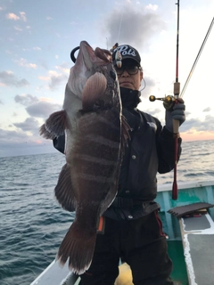 マハタの釣果