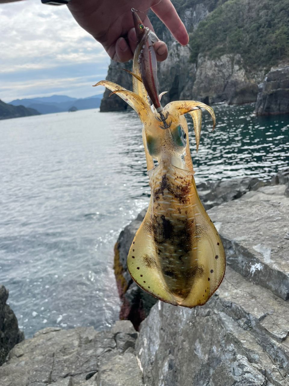 ちょいアホひでさんの釣果 3枚目の画像