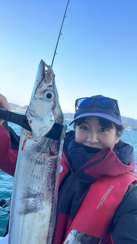 タチウオの釣果