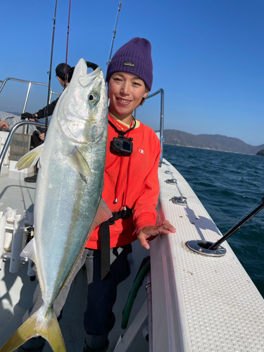 イナダの釣果