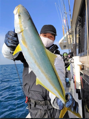 ヒラマサの釣果