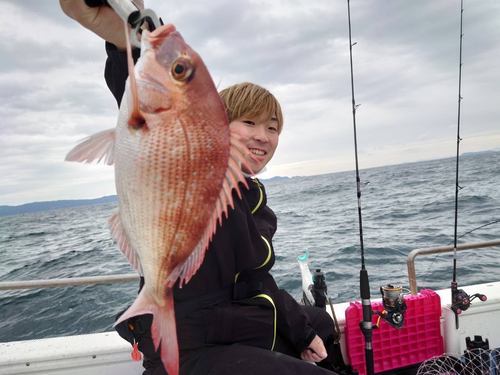 マダイの釣果