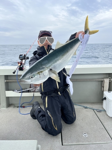 ブリの釣果