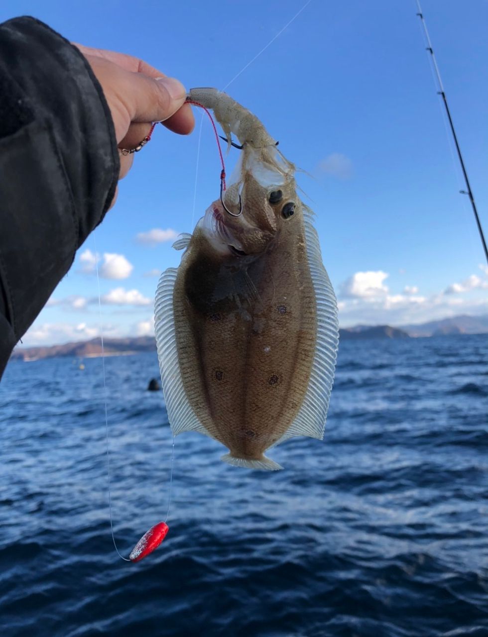 ゆっちゃんの釣りちゃんさんの釣果 2枚目の画像