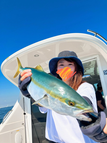 イナダの釣果