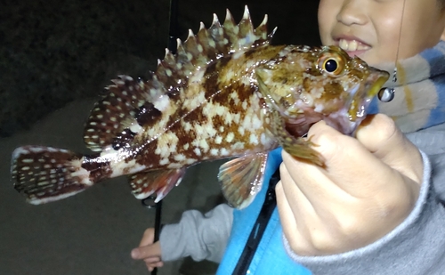 カサゴの釣果