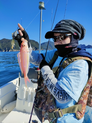 イトヨリダイの釣果