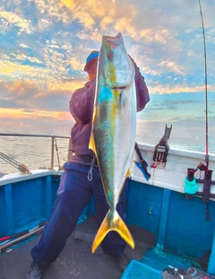 ブリの釣果