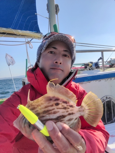 カワハギの釣果