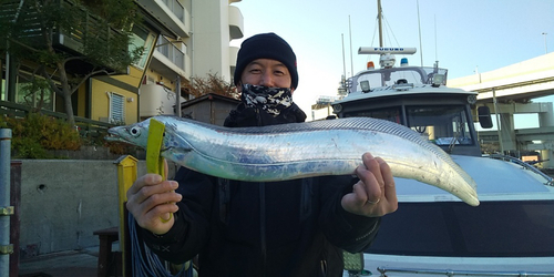 タチウオの釣果