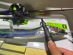 タチウオの釣果