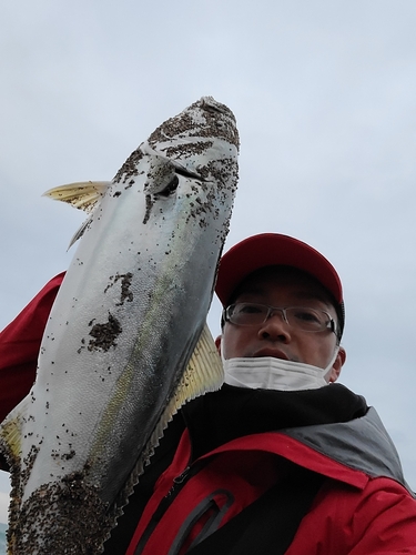 メジロの釣果