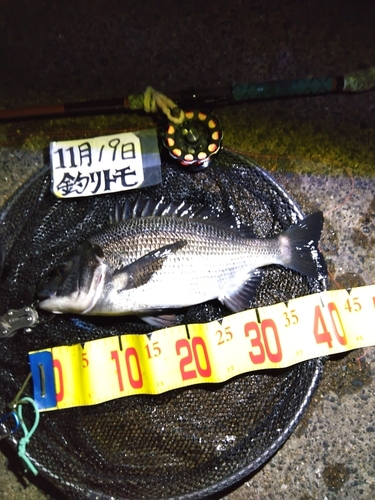 釣果