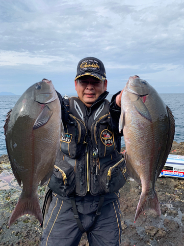 オナガグレの釣果