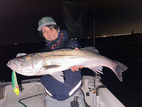 シーバスの釣果