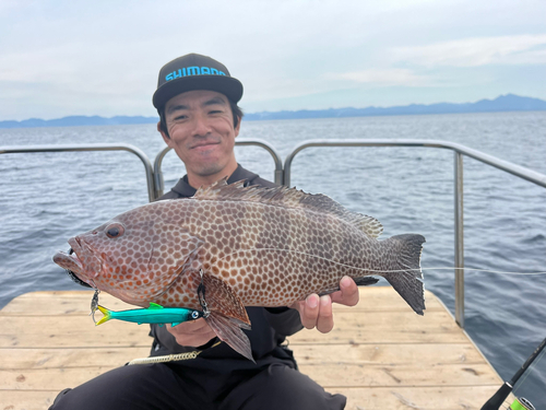 オオモンハタの釣果