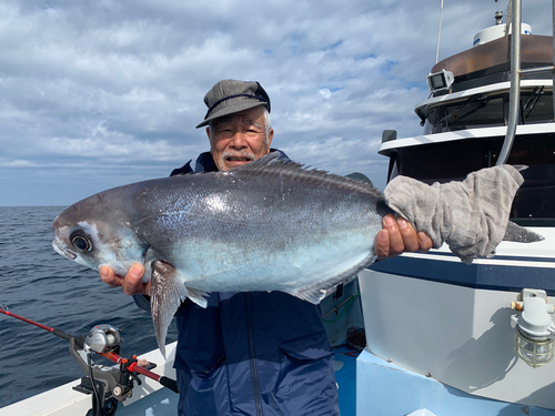 メダイの釣果