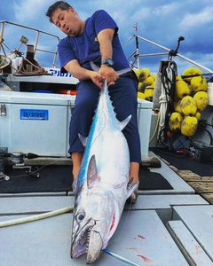 イソマグロの釣果