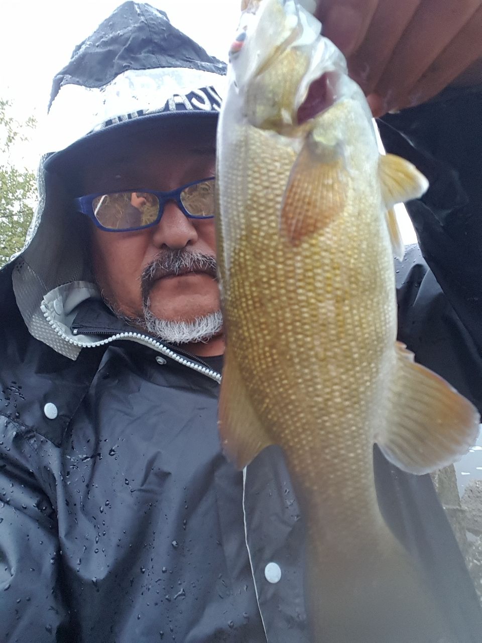 スモールマウスバス