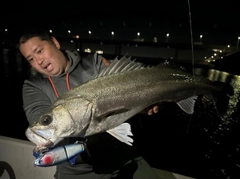 スズキの釣果