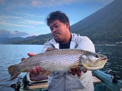 ブラウントラウトの釣果