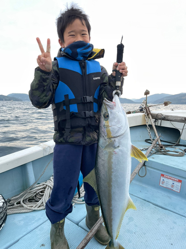 ヒラマサの釣果