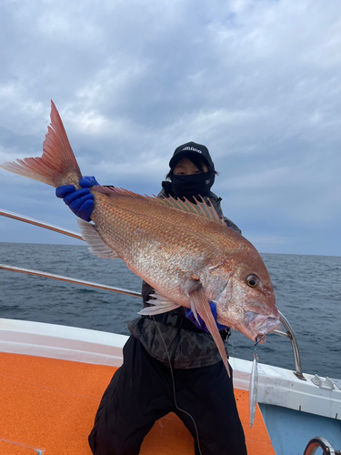 タイの釣果