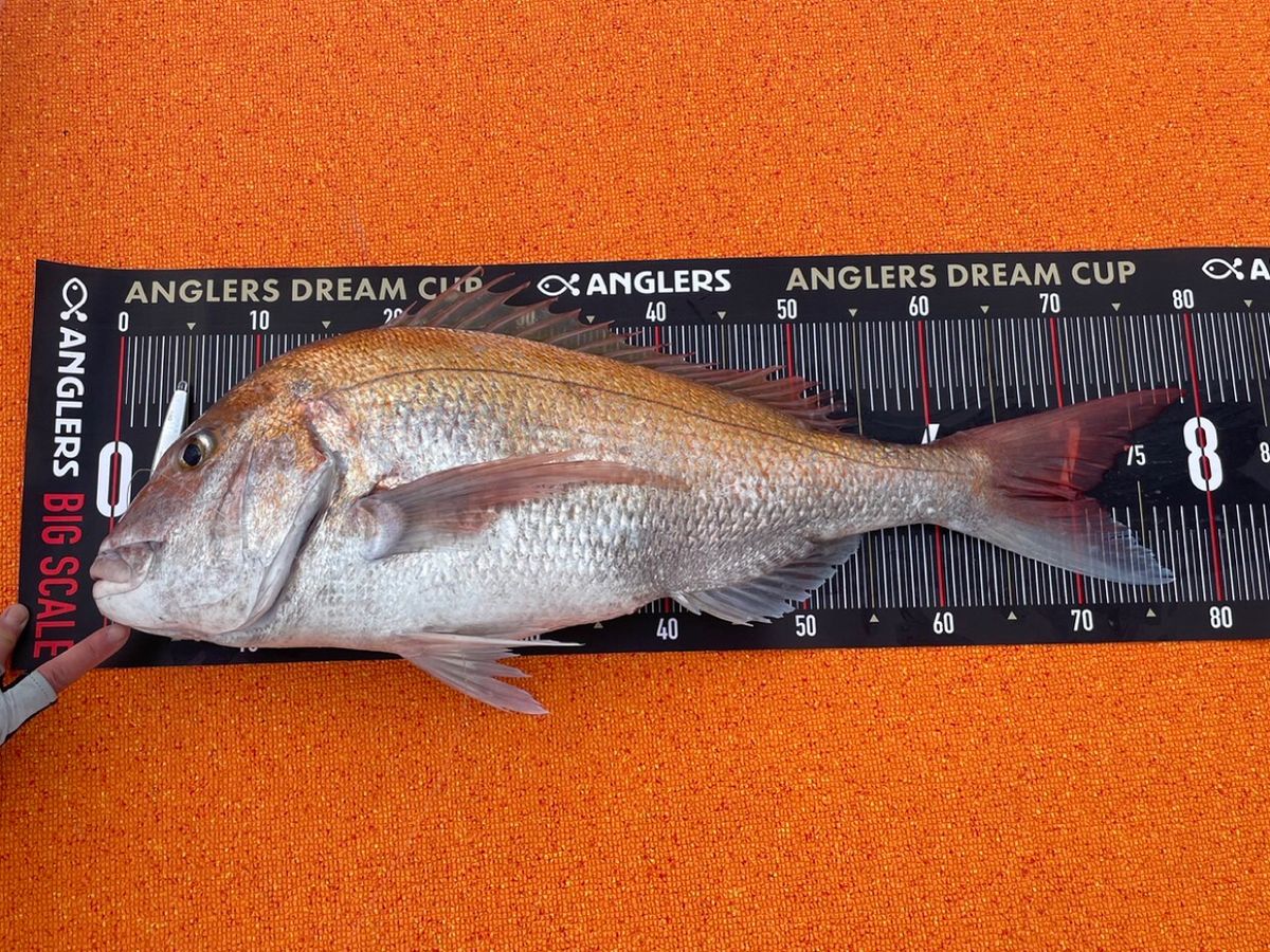 ジーマさんさんの釣果 2枚目の画像