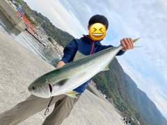 ブリの釣果