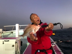 マダイの釣果