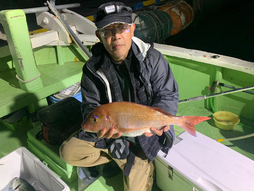 マダイの釣果