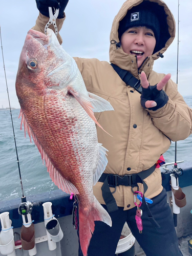 マダイの釣果