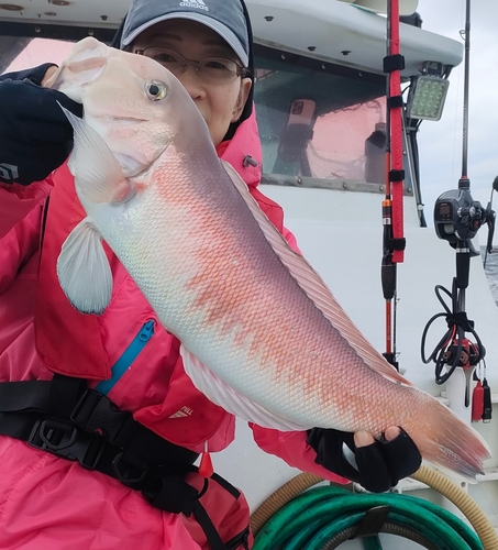 シロアマダイの釣果