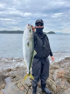 メジロの釣果