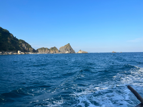 アイゴの釣果