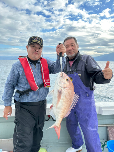 マダイの釣果